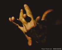 Paolo Pederzani   INDECISIONE